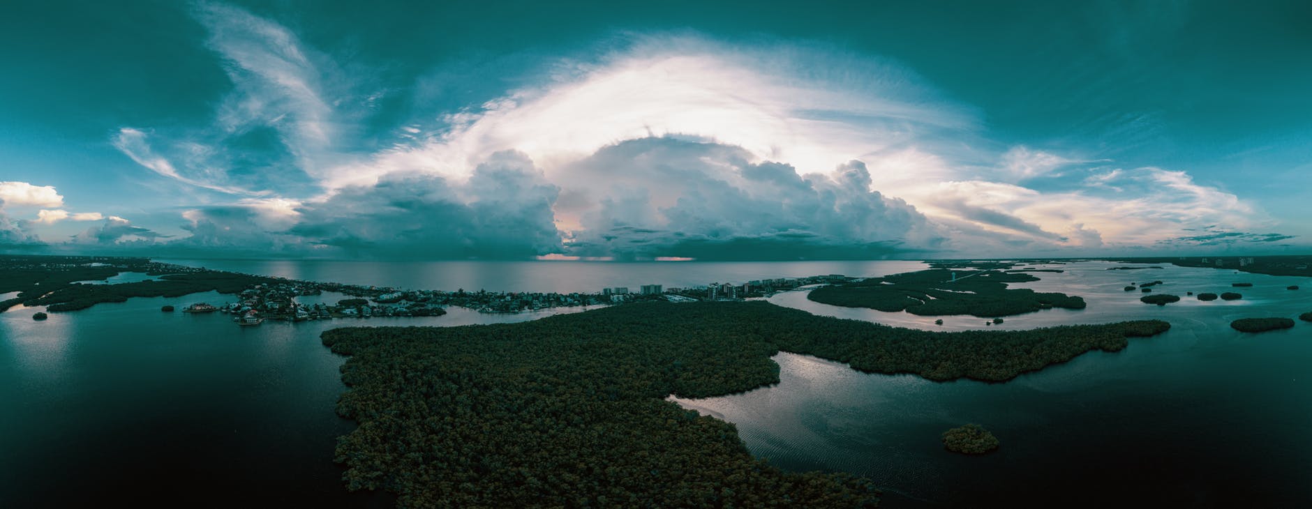 seashore under gray sky