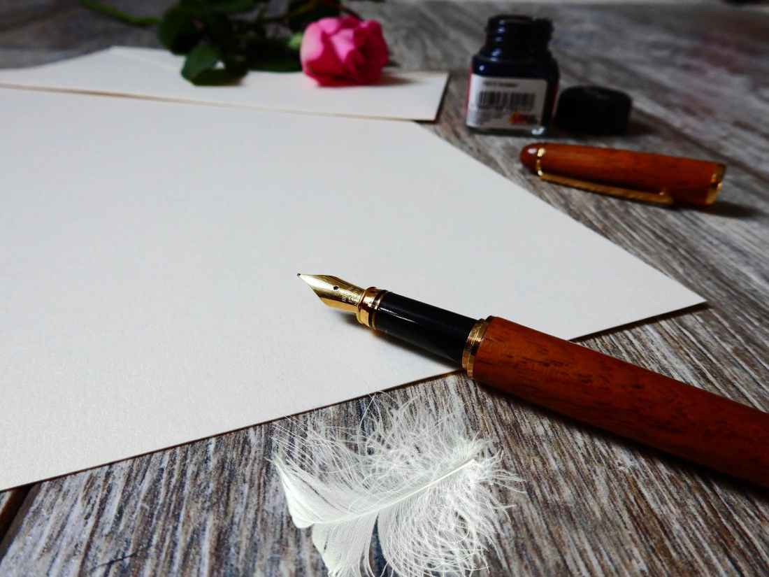 blank bloom blossom close up